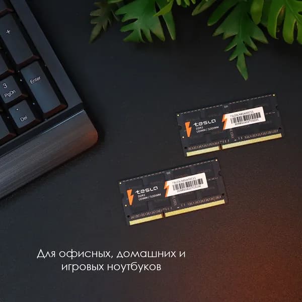 TESLA Оперативная память DDR3, 1600 МГц, 1 x 4 ГБ (TSLD3LNB-1600-C11-4G)