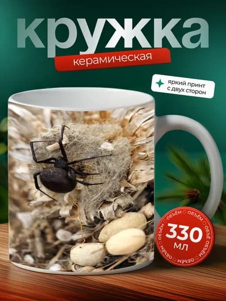 Кружка Ктиниды паук паукообразное 18