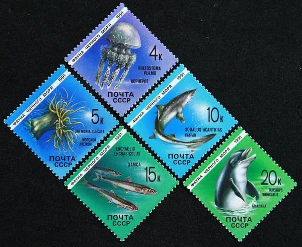 Набор из 5-ти марок.Фауна Черного моря. 1991. СССР.Корнерот, Афалина, Хамса, Катран, морской Анемон