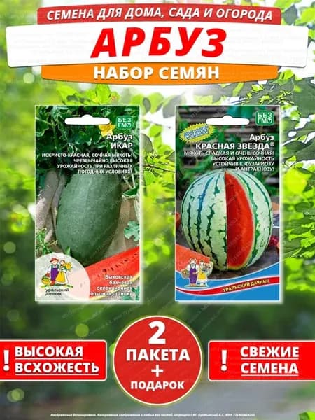 Семена арбуз для дома сада посадки