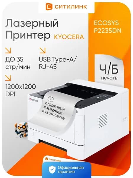 Принтер лазерный Kyocera Ecosys P2235dn A4 черный (1102RV3NL0)