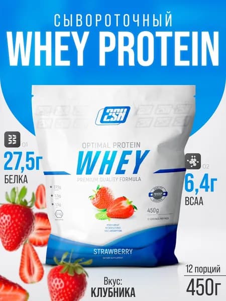 2SN Протеин сывороточный Whey Protein 12 порций 450 г (Клубника)