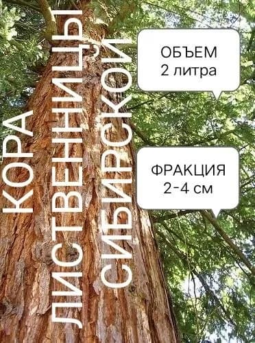 Кора лиственницы сибирской, 2 л. фракция 2-4 см