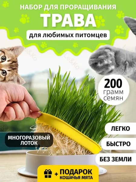Лакомство для кошек семена смесь