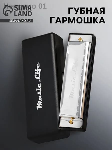 Губная гармошка диатоническая C- с футляром, серебристая