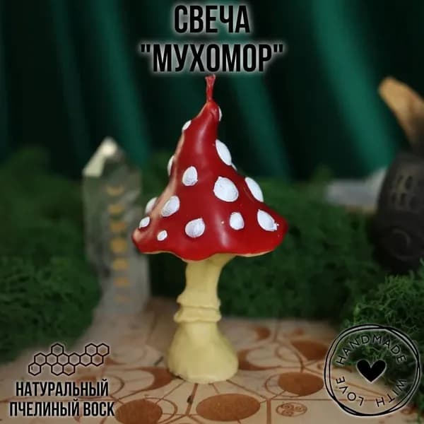 Свеча Мухомор высокий лесной гриб