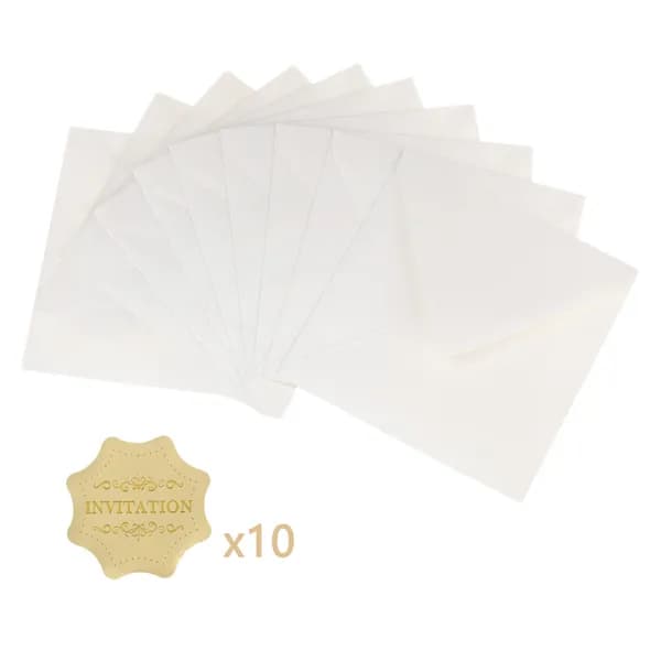 10 PCS/lot Конверт сумка