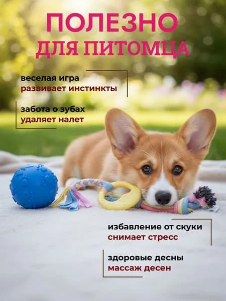 Набор игрушек для собак 3 в 1