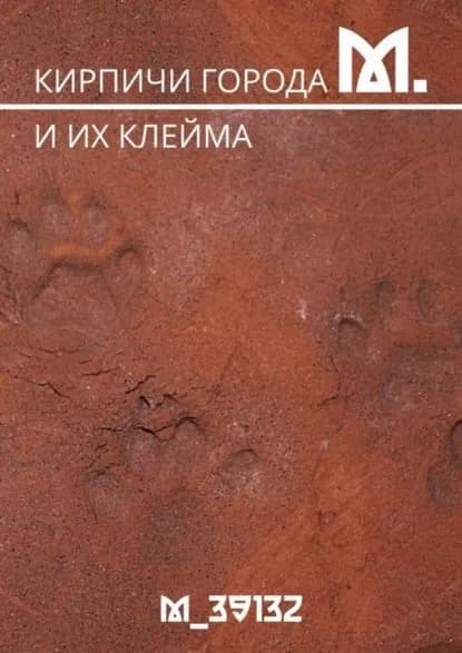 Кирпичи города М. И их клейма | М_39132 | Электронная книга
