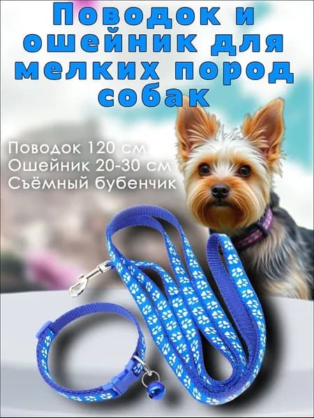 Поводок и ошейник для собак мелких пород щенков и кошек синего цвета