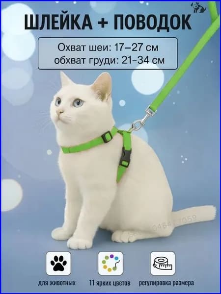 Удобная шлейка премиум с поводком для котят, мелких собак и кроликов