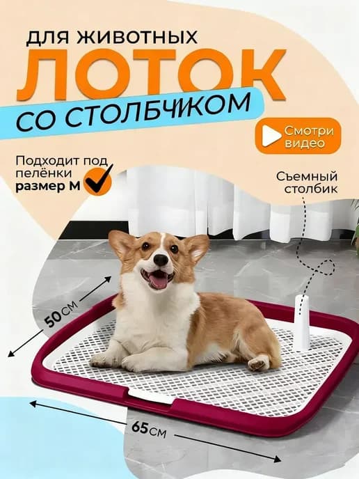 Лоток для собак под пеленку большой