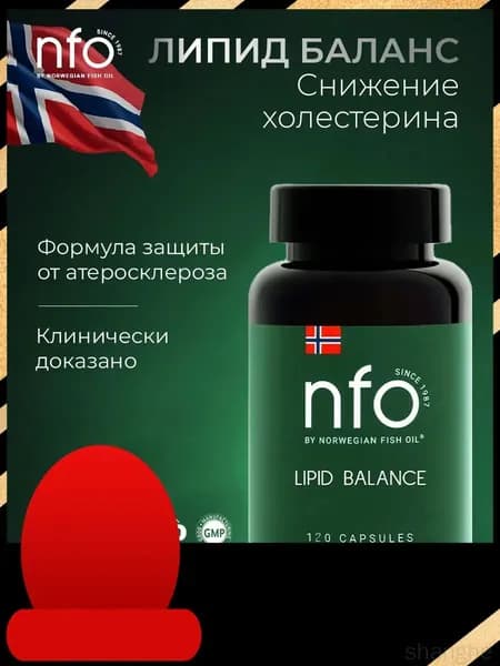 NFO Липид Баланс витамины для снижения холестерина, 120 капсул / Норвегия