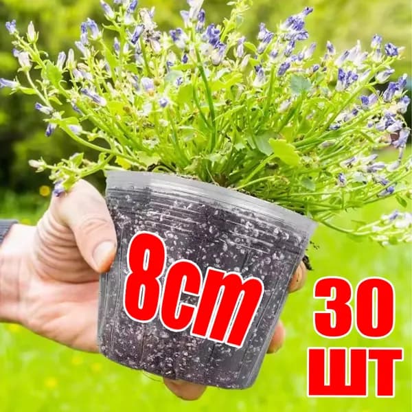 Вазон, 30 шт, цвет прозрачный