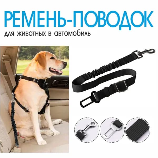Ремень безопасности в машину для собак и кошек / чёрный регулируемый ремень для собак мелких и средних пород / длина 45-65 см ширина 2.5 см