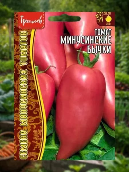 Томат Минусинские Бычки