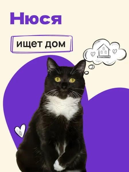 Помочь Нюсе найти дом