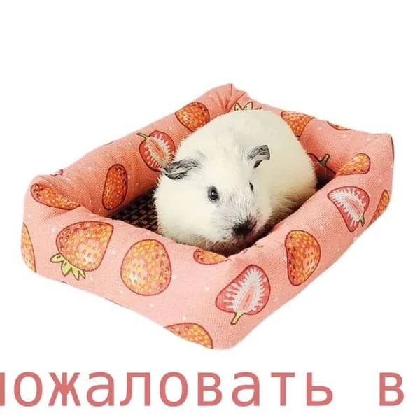 Коврик из ротанга "гнездышко морской свинки", клубничный, L