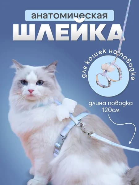 Шлейка
