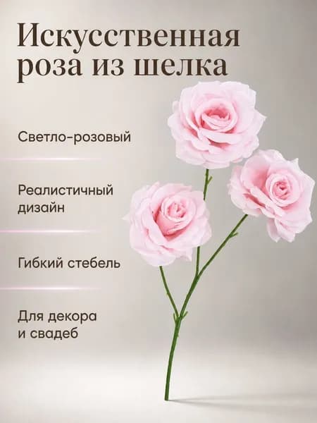 Стабилизированные цветы Роза, 65 см, 1 шт