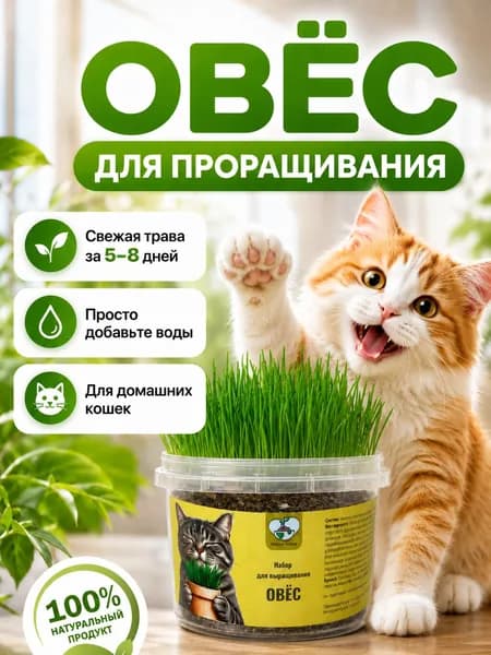 Трава для кошек в лотке. Набор для выращивания (овёс)
