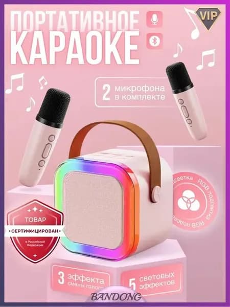 Колонка караоке с микрофонами подарок