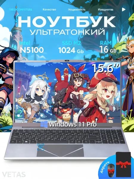 VETAS ноутбук игровой Intel N5100 Система Windows активирована игровые ноутбуки Игровой ноутбук 15.6", Intel Celeron N5100, RAM 16 ГБ, SSD 1024 ГБ, Intel UHD Graphics, Windows Pro, серебристый, Русская раскладка