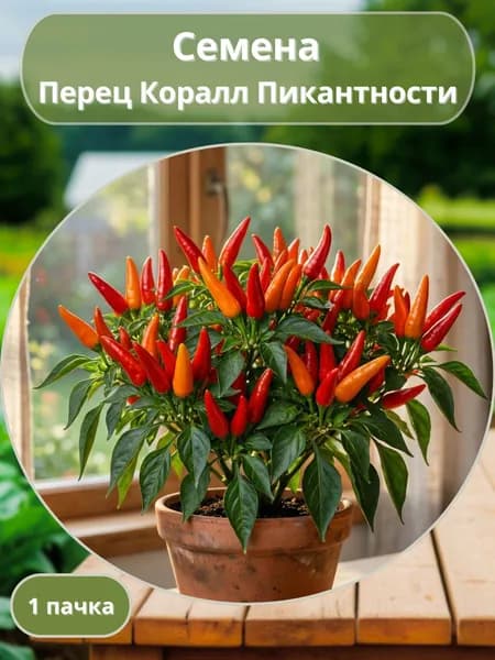 Перец острый Коралл Пикантности, семена 10 шт
