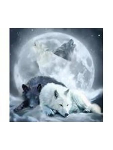 5D Diamond Painting Набор для рисования Волк в лунном свете