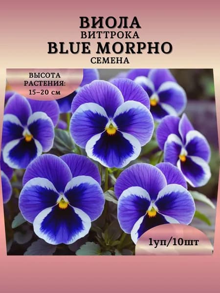 Виола Виттрока "Blue Morpho" семена, 1 пачка