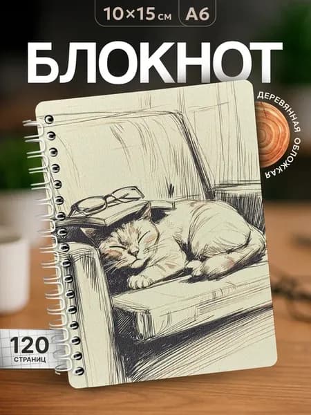 Блокнот для записей Спящий кот
