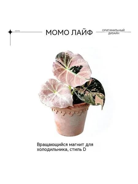 Зеленый растительный магнит