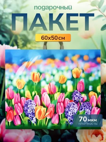 Пакет подарочный большой Цветочный базар 60х50/70мкм