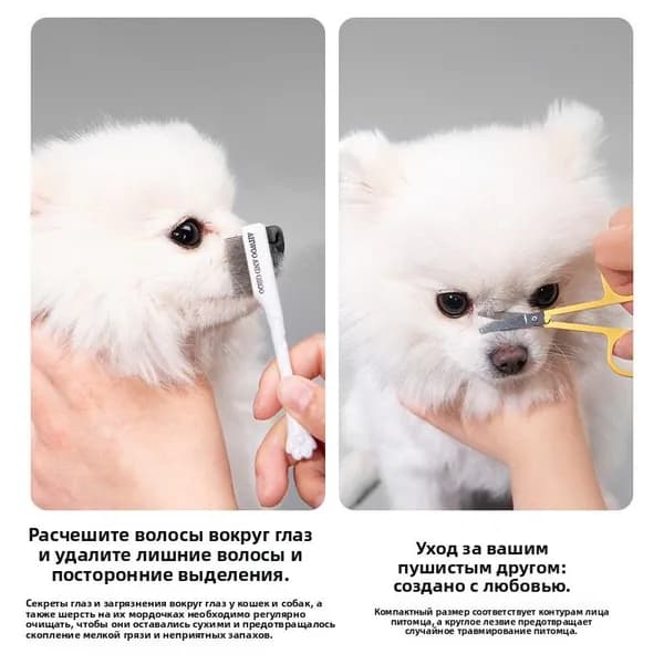 Набор из 2 предметов: гребенка для ухода за глазами и лицом для животных, ножницы для удаления слезной пленки