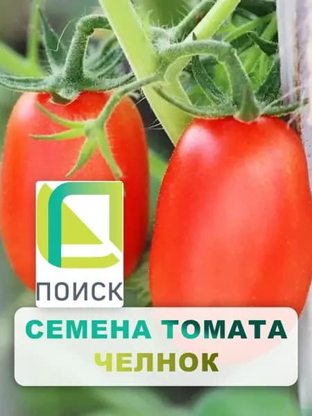 Семена Томат "Челнок" 0,1 г, овощи для дома, дачи и огорода, в открытый грунт, в теплицу, в парник