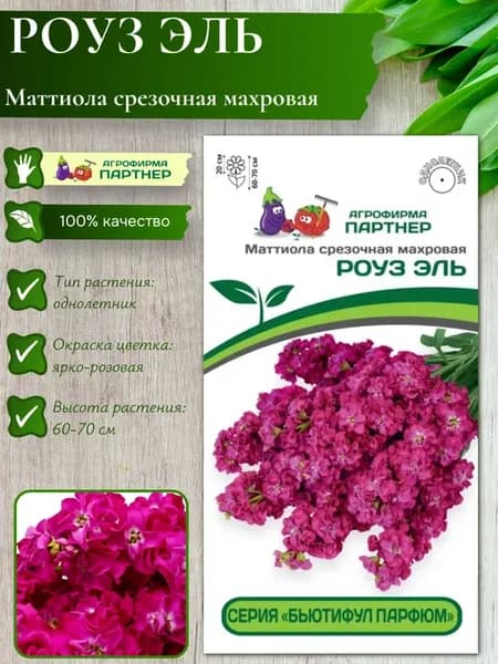 Семена Маттиола срезочная махровая РОУЗ ЭЛЬ
