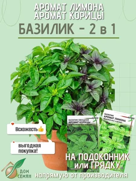 Базилик 2 в 1 Аромат Лимона, Аромат Корицы 260 семян