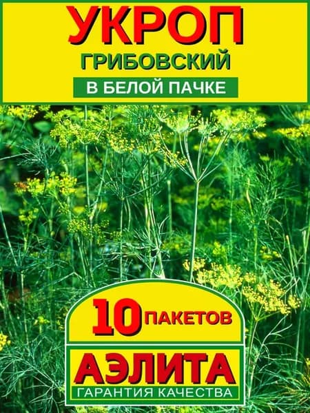 Укроп Грибовский семена для засола 10 шт