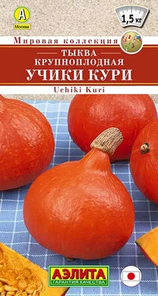 Семена Тыква крупноплодная Учики Кури (1г) - Аэлита