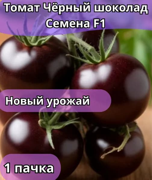 Томат "Чёрный шоколад", семена 10 шт