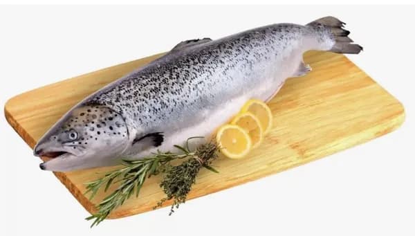 Лосось атлантический (семга), PREM, HON, 3-4кг Чили