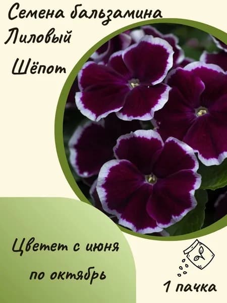 Бальзамин Лиловый Шёпот, 10 шт. семян
