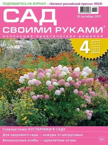 Сад своими руками No10/2017 | Электронная книга