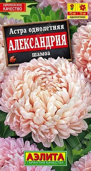 Астра однолетняя "Александрия шамоа" семена цветов Аэлита для дома, сада и огорода, 0,1 гр