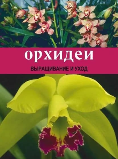 Орхидеи: Выращивание и уход | Шереметьева Татьяна Леонидовна | Электронная книга