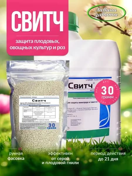 Свитч 30 грамм фунгицид защита растений от серой гнили
