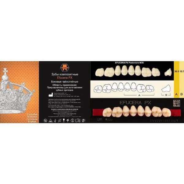 Зубы композитные трехслойные, вариант исполнения: PX, EFUCERA Posterior (боковые верхние), фасон 36 цвет B4,8 шт. на планке.