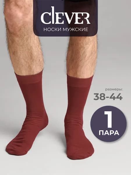 Носки CLEVER WEAR мужские, 1 пара
