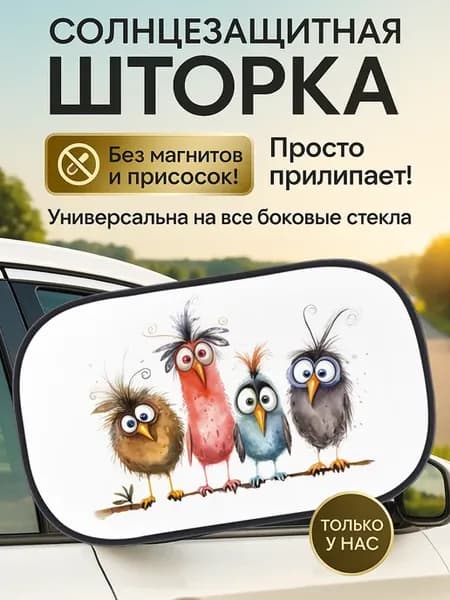 Шторки на авто 1 шт