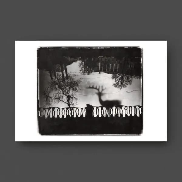 Из серии "Сказки" . Александр Черногривов. 2006-2010 г.